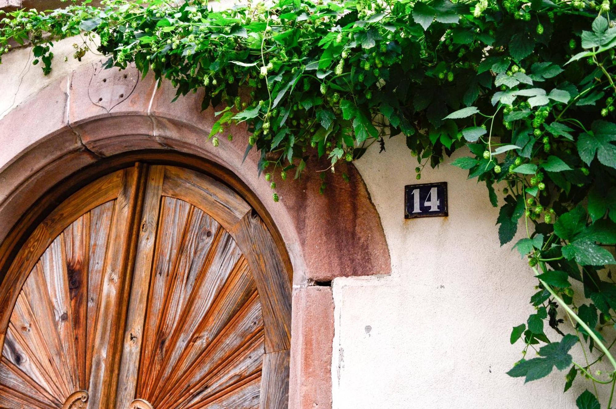 Chaud'Vin Apartment Kaysersberg-Vignoble Exterior photo